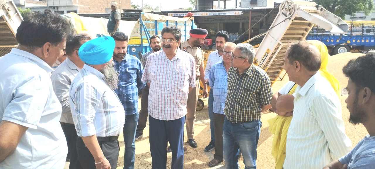 The Deputy Commissioner visited Dana Mandi Nawanshahr and reviewed the procurement arrangements for wheat
